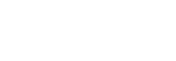 Beir-Total Festival