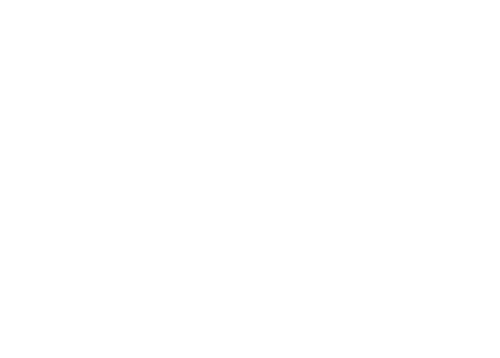 Vibes by Beir-Total